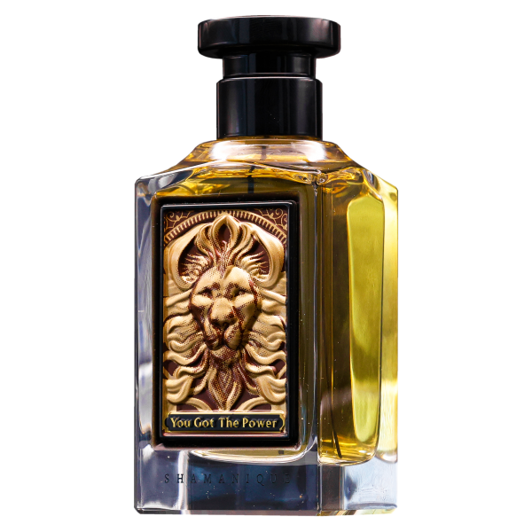 You Got the Power by Shamanique – Bold Unisex Eau de Parfum with Mint, Ginger, Cinnamon & Eucalyptus (100ml)