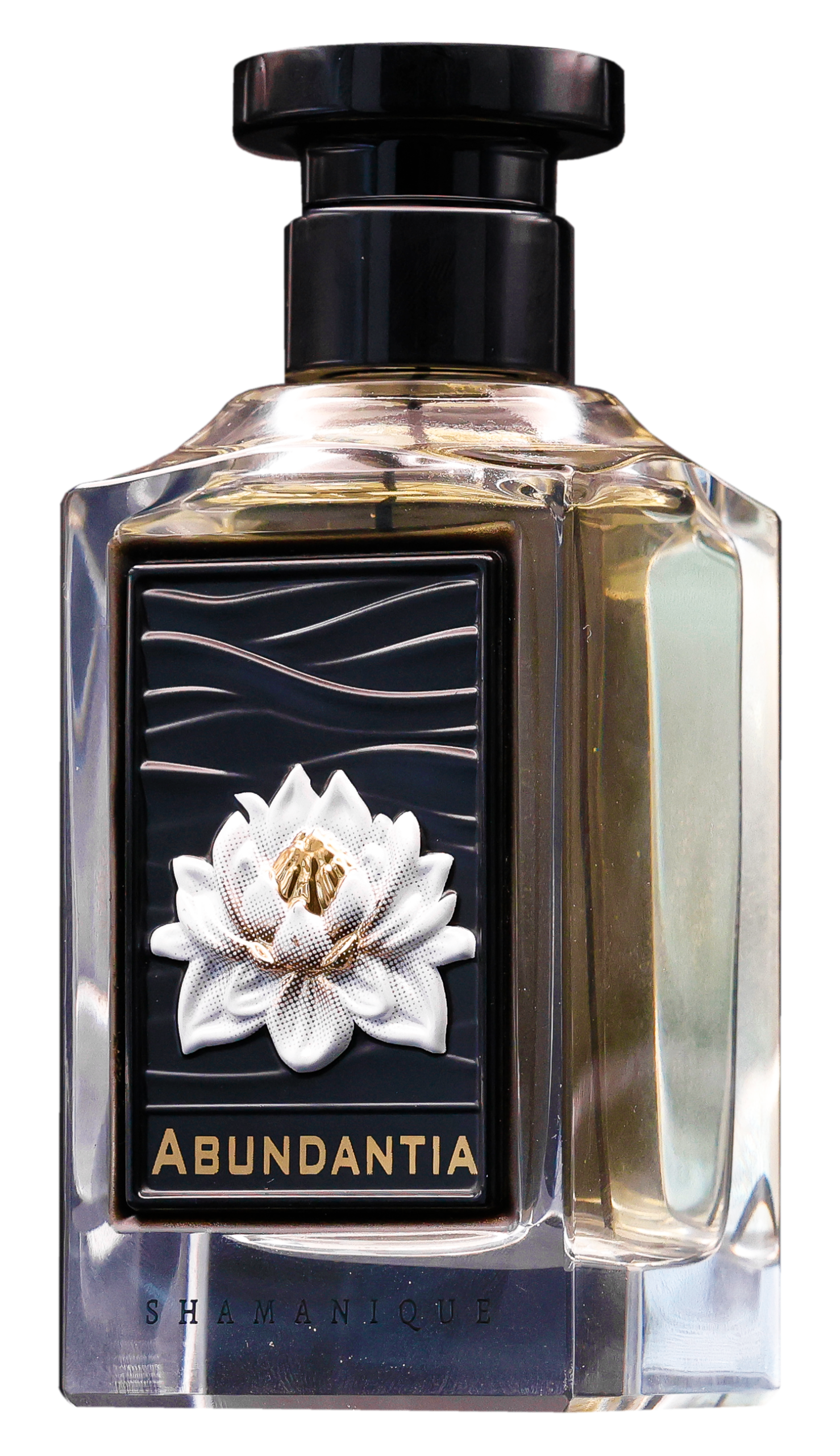 shamanique-abundantia-extrait-de-parfum-unisex-100ml-86-scaled-1.png