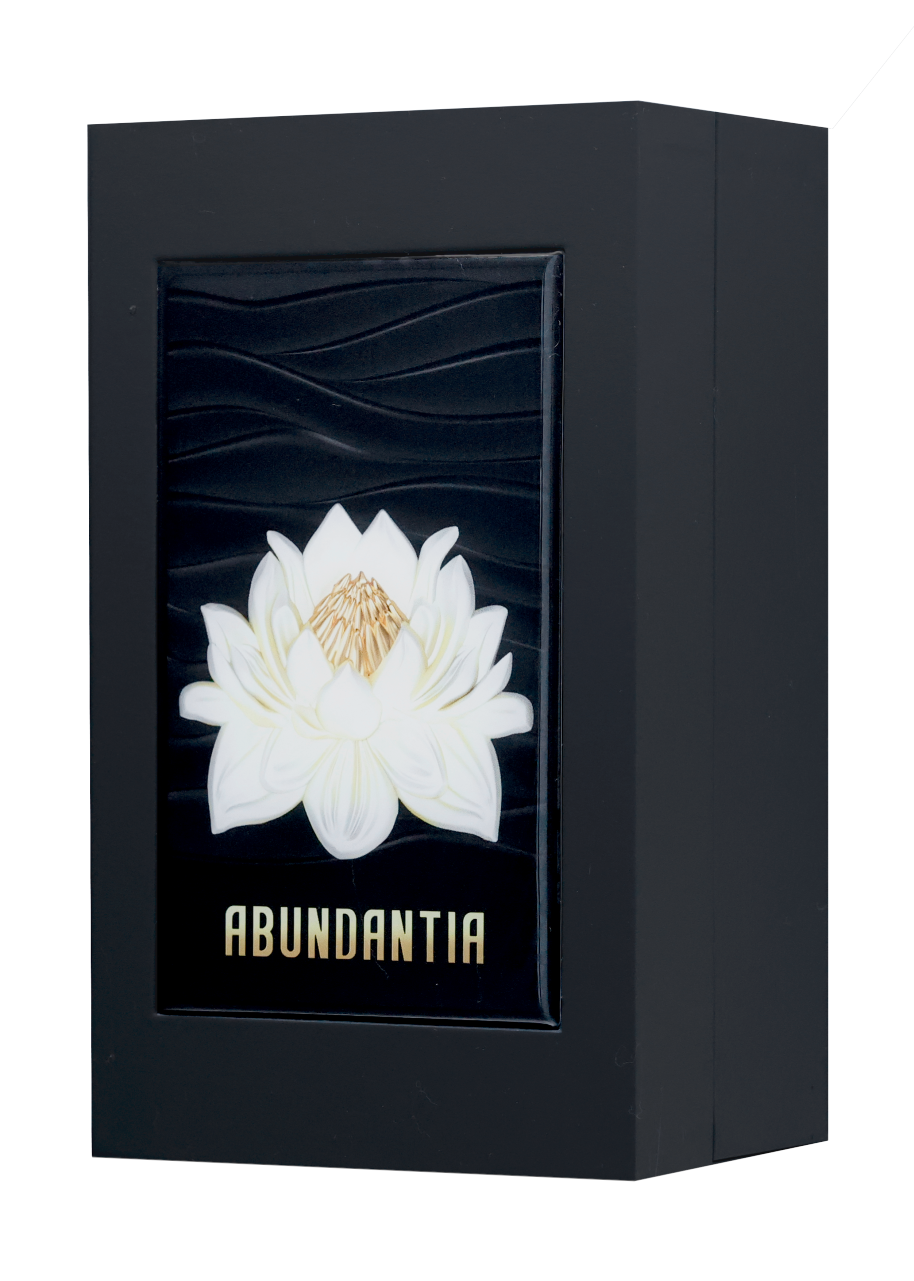 shamanique-abundantia-extrait-de-parfum-unisex-100ml-a3093-scaled-1.png