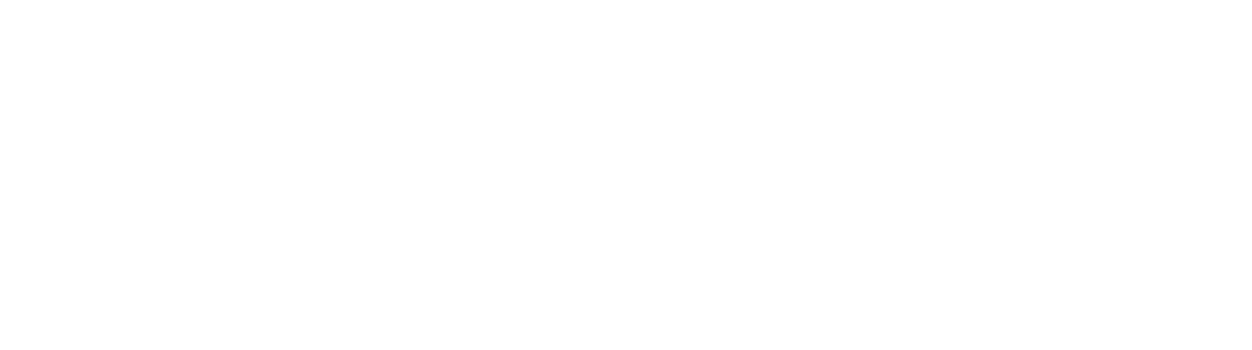 Shamanique